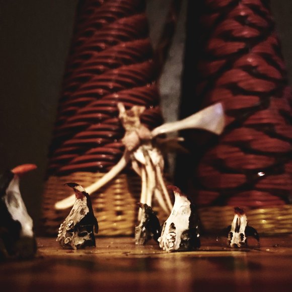 Hello! Welcome to my weird closet! - Picture 2 of 16